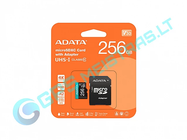 Atminties kortelė 256GB microSD