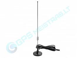 magnetinė antena