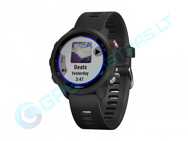 Garmin Forerunner 245 black slate