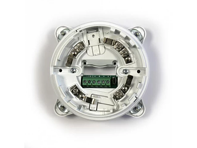 Venu 2 Plus Ivory/Cream